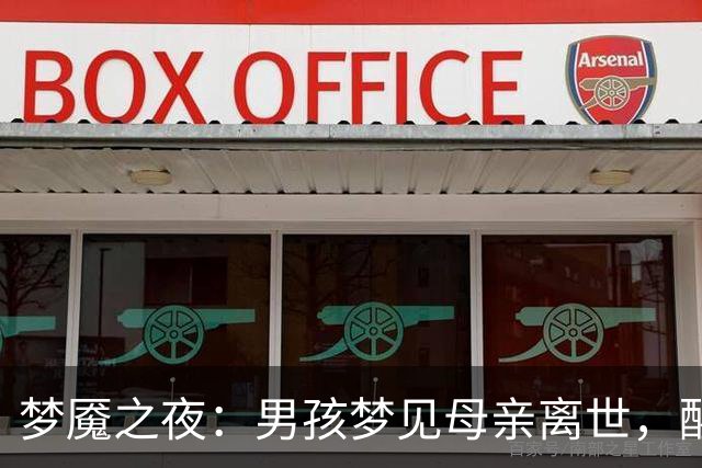 梦魇之夜：男孩梦见母亲离世，醒来泪如雨下